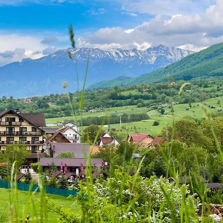 Vila Hora Cu Brazi Zărneşti Bagian luar foto