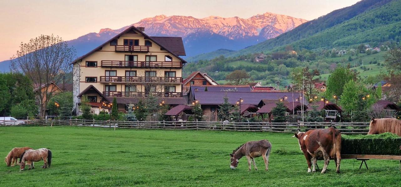 Vila Hora Cu Brazi Zărneşti Bagian luar foto
