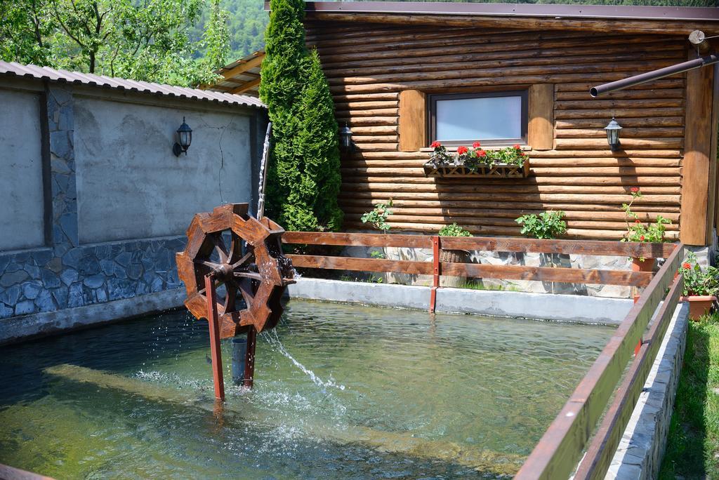 Vila Hora Cu Brazi Zărneşti Bagian luar foto